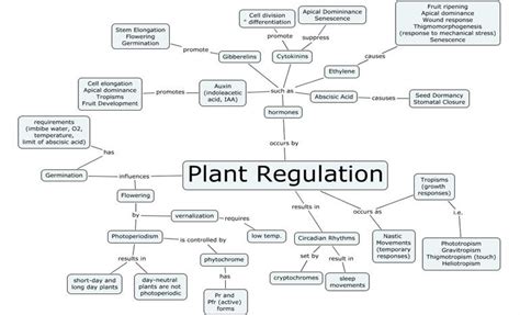 Mind Map Lesson Science Cbse Class