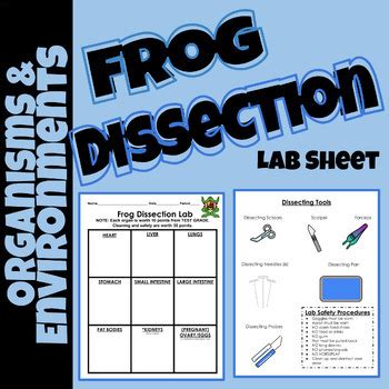 Frog Dissection Lab Sheet By ScienceTechNerds TPT