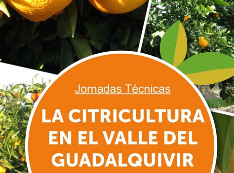 Jornadas Técnicas La Citricultura En El Valle Del Guadalquivir