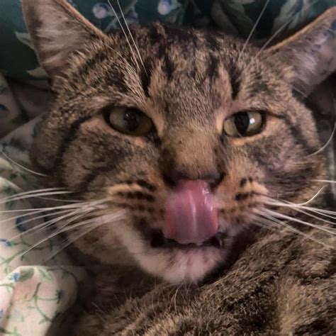 Fa T Ass He Is Cute But He Is Stealing My Girl Depop