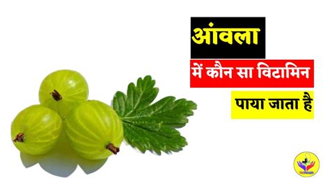 आवल म कन स वटमन पय जत ह aanwala mein kaun sa vitamin paya