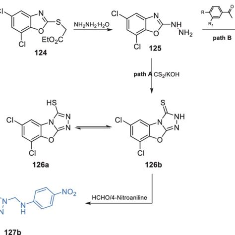 Scheme Synthesis Of Dichloro Benzoxazole Thiol