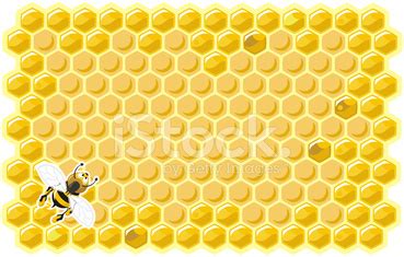 Honey Bee Background Stock Vector | Royalty-Free | FreeImages