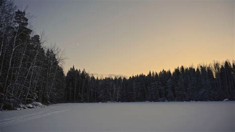 Free Images Landscape Tree Nature Forest Mountain Snow Winter