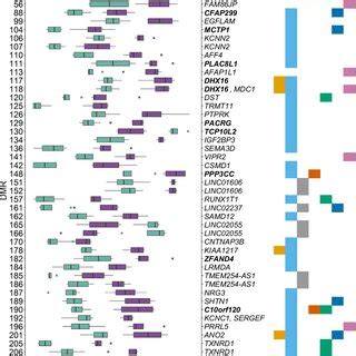 Dna Methylation Levels And Functional Characterization Of The Dmrs