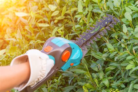 How To Fix A Jammed Hedge Trimmer A Step By Step Guide Homes Whiz