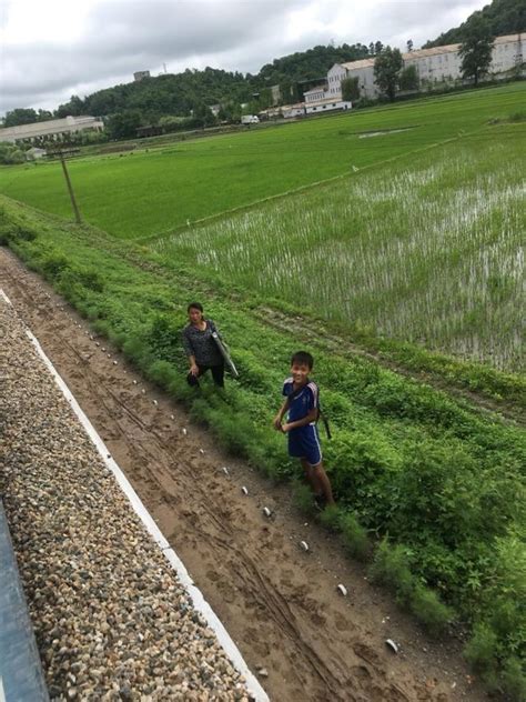 朝鮮觀察，直擊朝鮮農村人的生活 每日頭條