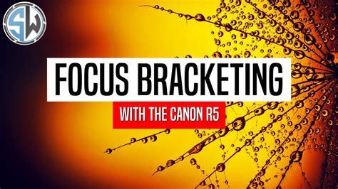 Focus Bracketing With The Canon R5 Macro Photography YouTube