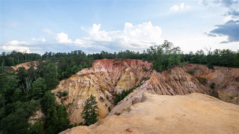 Red Bluff Hiking: What You Need To Know – Visit Mississippi