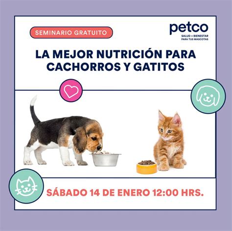 Seminario Gratuito De Nutrici N Para Cachorros Y Gatitos En Tiendas