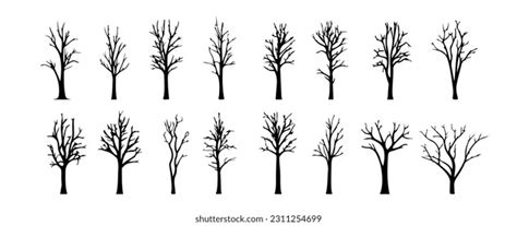 12 028 Autumn Naked Tree Images Stock Photos 3D Objects Vectors