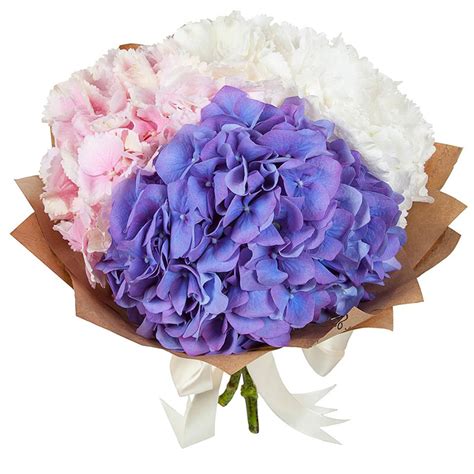 Букет из гортензии в крафте - купить с доставкой по Москве по цене 1430 ...