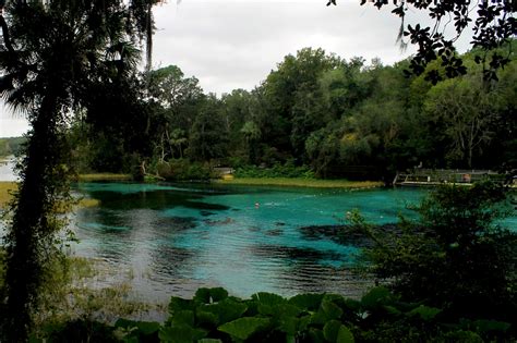 Rainbow Springs, Dunnellon, FL - Wanderlust