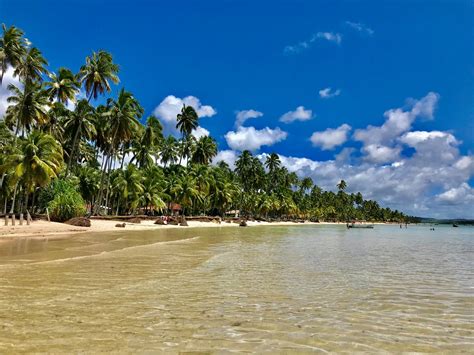 Praia De Carneiros Como Ir E O Que Fazer Neste Para So Pernambucano