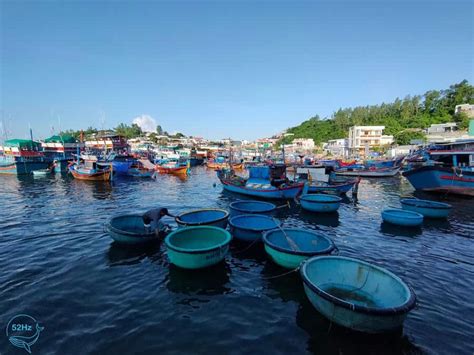 Bãi Tranh Nha Trang Top 7 Hoạt động thú vị không thể bỏ lỡ