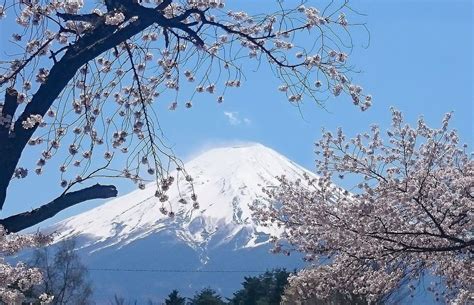 kawaguchi lake view  mount fuji travel guide