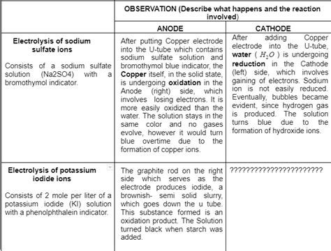 Solved Observation Describe What Happens And The Reaction Involved In