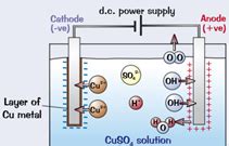 Chemistry C4 Electrolysis Of Aqueous Solutions Flashcards Quizlet