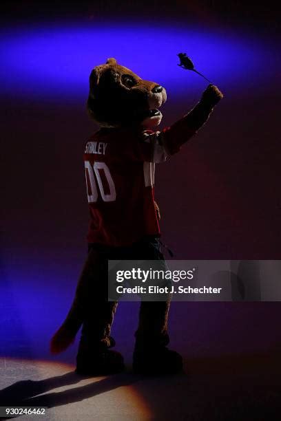 Panthers Mascot Photos And Premium High Res Pictures Getty Images