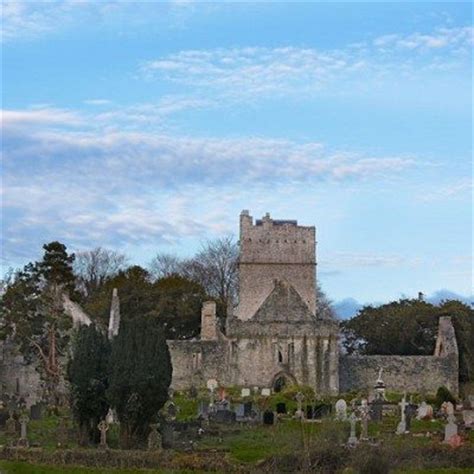 Muckross Abbey - Killarney