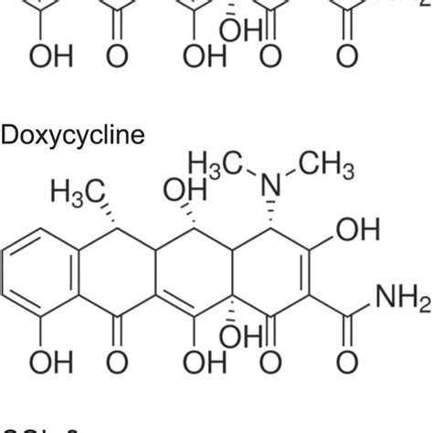 Pdf Mitochondria As Oncotarget A Comparison Between The Tetracycline