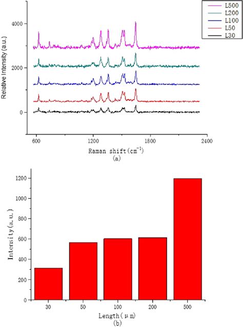 A Sers Spectrum Of Rhb Solution Measured On The Same Width And