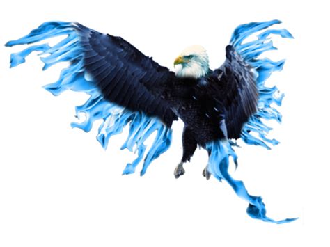 Blue Phoenix Transparent Png Png Mart