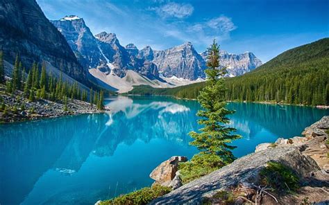 Scarica Lago Moraine Estate Albero Montagna Canada Sfondi Per