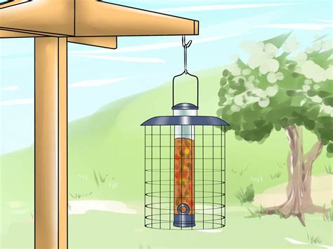 3 Ways to Deter Squirrels from Bird Feeders - wikiHow