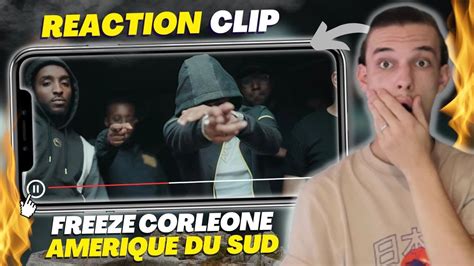 Reaction Amerique Du Sud Freeze Corleone Il Veut En D Coudre