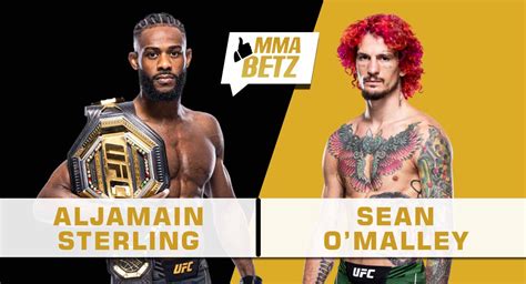 Ufc 292 Aljamain Sterling Vs Sean Omalley Preview Prediction And