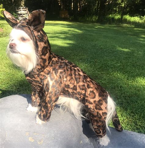 Be Halloween Ready Adorable Leopardcheetah Print Dog Costume For