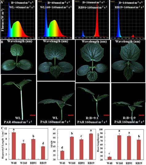 Figure From Genome Wide Identi Cation And Expression Analysis Of