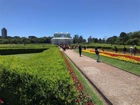 Jardim Nico De Curitiba Cada Dia Mais Bonito De Ver E Visitar