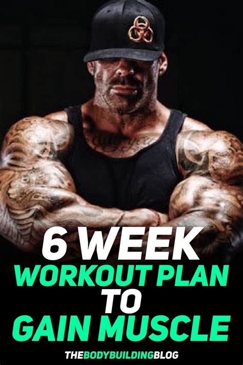 6 Week Workout Program To Build Muscle With Pdf In 2020 Weekly