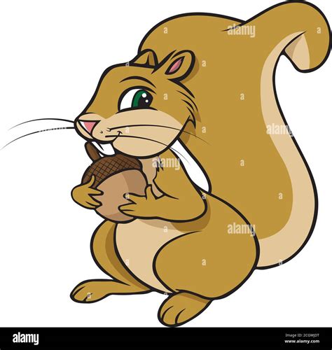 Cartoon Vector Illustration Of A Squirrel With A Nut Stock Vector Image