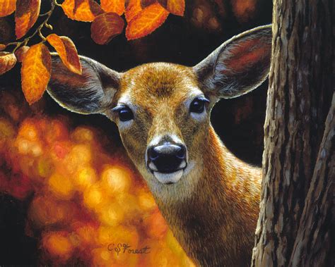 Whitetail Deer Surprise Painting By Crista Forest Pixels