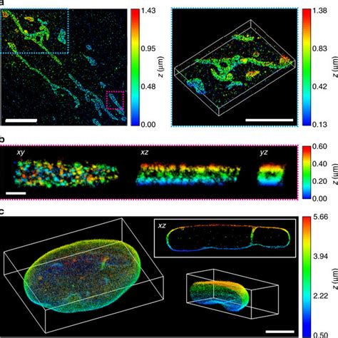 Tilted Light Sheet Imaging With Long Axial Range Point Spread Functions