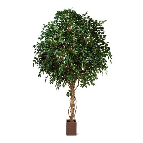 Ficus Exotica Plante Artificielle Cm Green Bubble