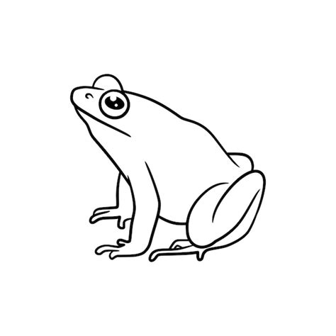 Premium Vector Frog Line Art Drawing Illustration