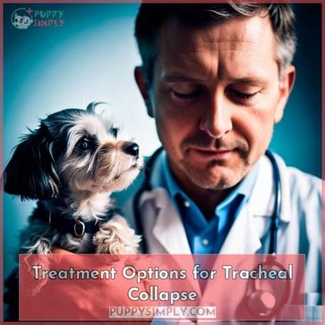 Dog Tracheal Collapse: Symptoms, Treatments & Prognosis