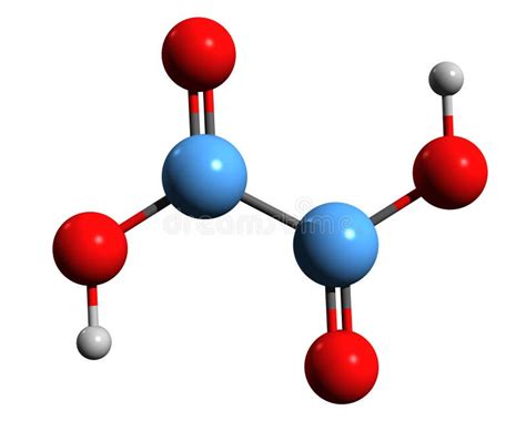 Oxalic Acid Molecule Skeletal Formula Stock Vector Illustration Of Oxalis Carbon 187169305