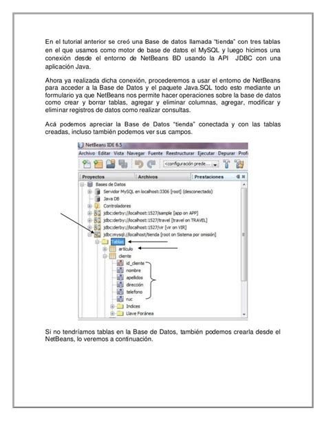 Conectar La Primera Base De Datos Mysql Con Java Netbeans Pdf