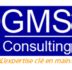 Chef de Projets Préparation Certificat PMP Cabinet GMS Consulting