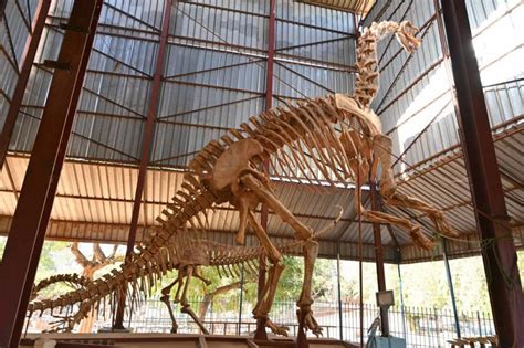 Descubren A Un Gran Dinosaurio Volador Y Es Calificado Como Un Temible