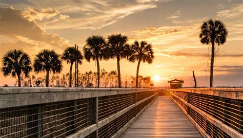amazing       gainesville florida  bucket list