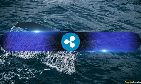 Xrp Whale Holdings Hit All Time High Amid Ripple V Sec Lawsuit Update