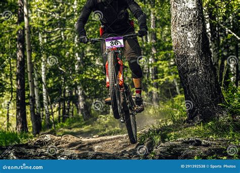 Front View Athlete Rider Downhill Forest Trail Stock Photo Image Of