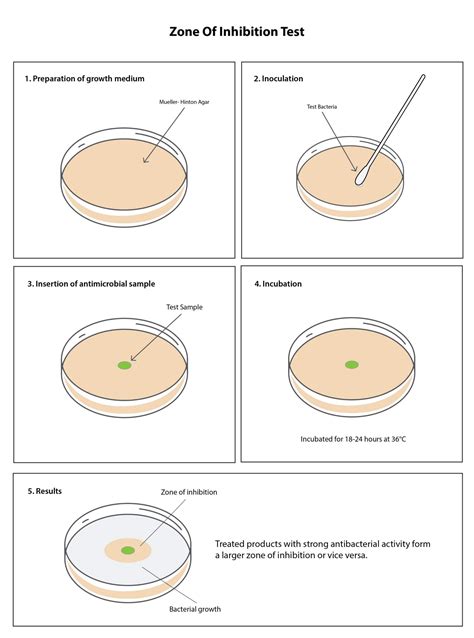 Zone Of Inhibition Test Microbe Investigations