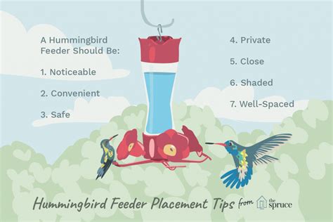 The Best Places To Hang A Hummingbird Feeder Nature Blog Network